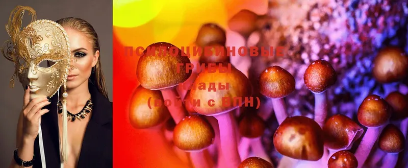 Галлюциногенные грибы Psilocybe  Омск 